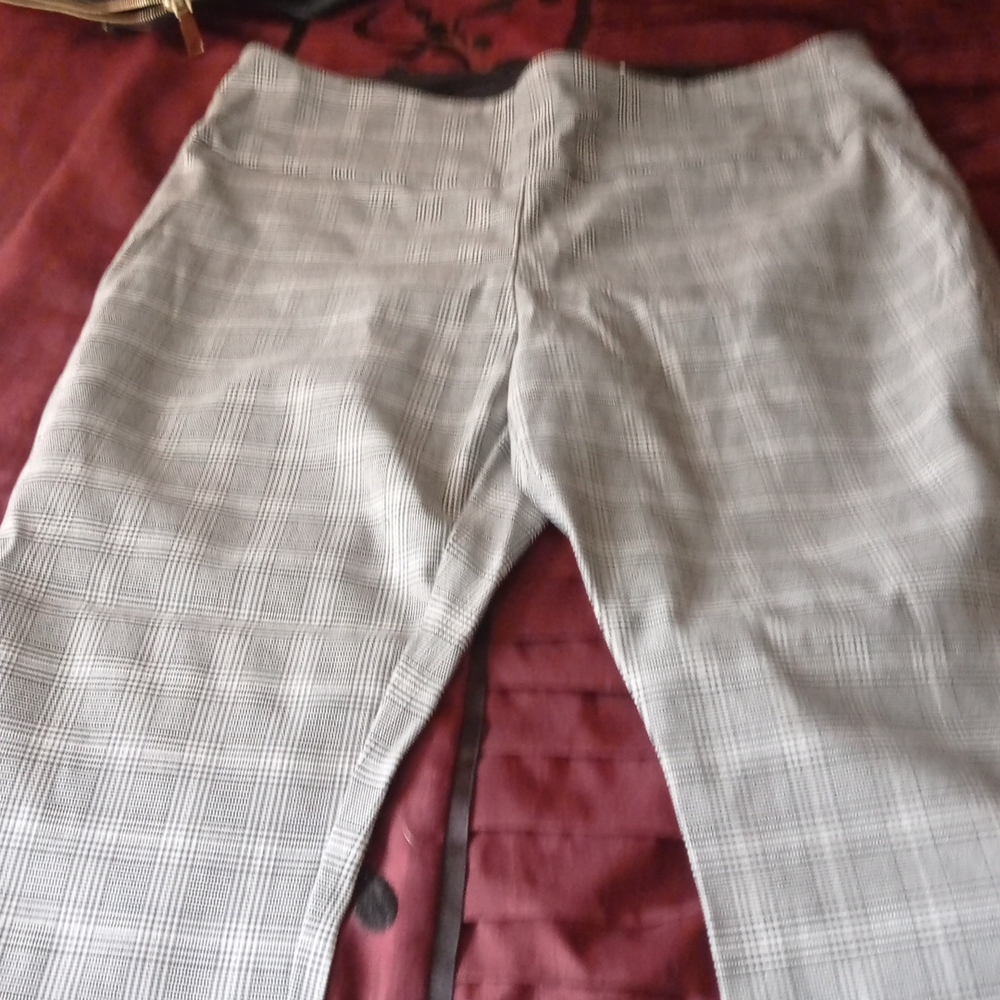 Dress pants